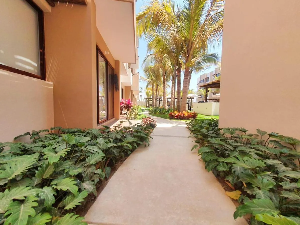 Ambar By Hausing - Pet Friendly Apartment Mazatlan Mexico